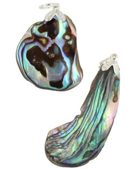 Hanger van abalone schelp