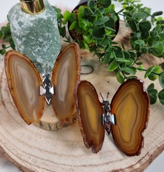 Agate butterfly nature nr. 1