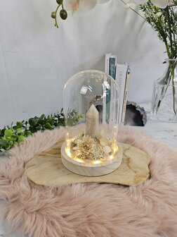  Moonstone garden in bell jar