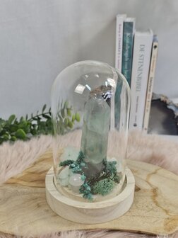  Fluorite garden in bell jar