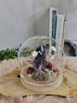 Amethyst garden in bell jar