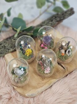 Mini gemstone gardens