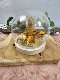  Yellow fluorite garden in bell jar