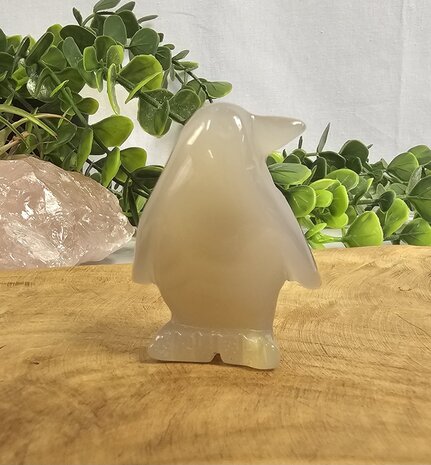 Agate  penguin